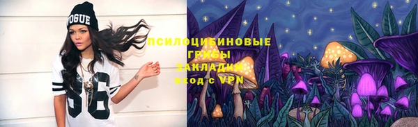 МДМА Ельня