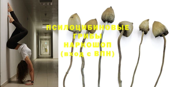 винт Елизово