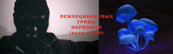 МДМА Ельня