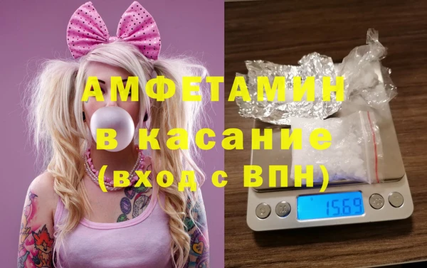 индика Щёлкино