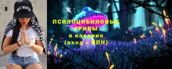 винт Елизово