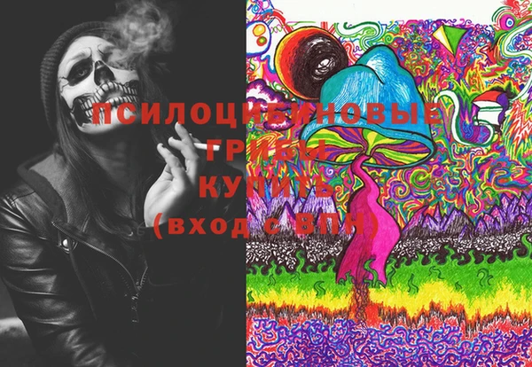 винт Елизово